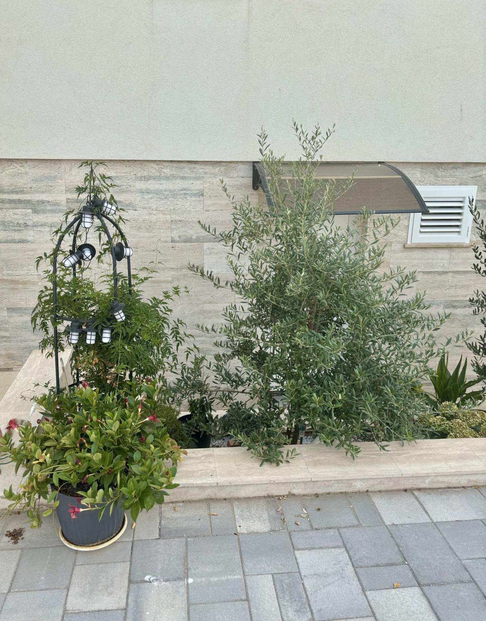 Vila Regina Apartment Rex With Swimming Pool Jezera Esterno foto