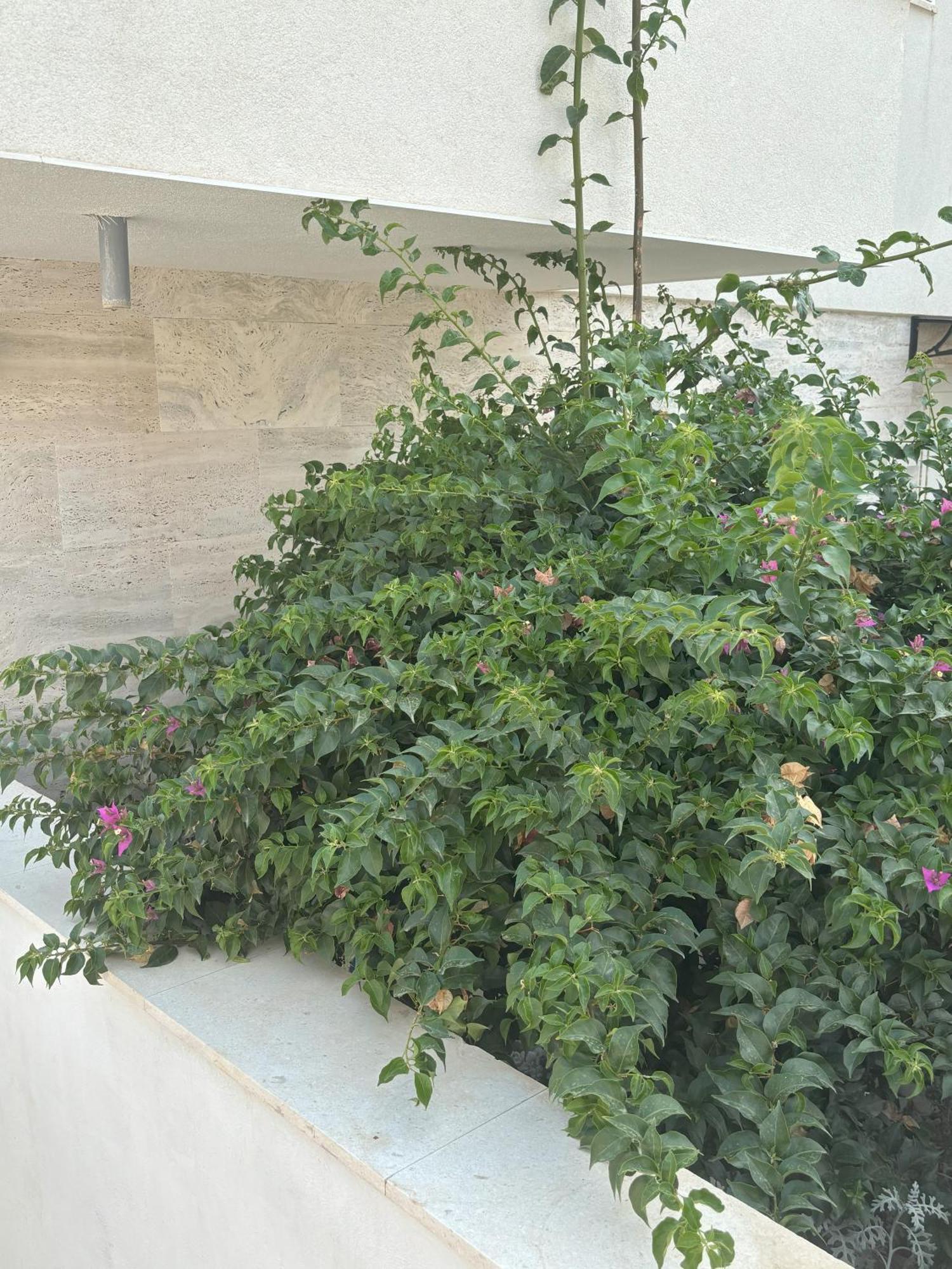 Vila Regina Apartment Rex With Swimming Pool Jezera Esterno foto